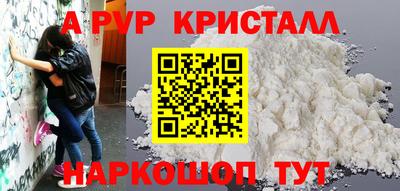 apvp Кингисепп