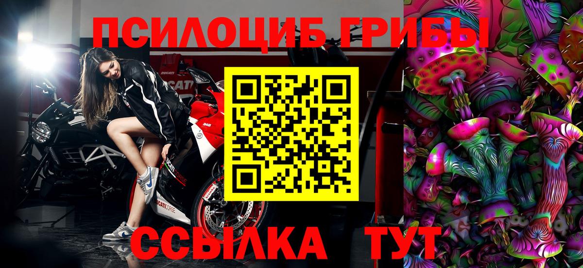 Лениногорск  Галлюциногенные грибы MAGIC MUSHROOMS  Вход с VPN 