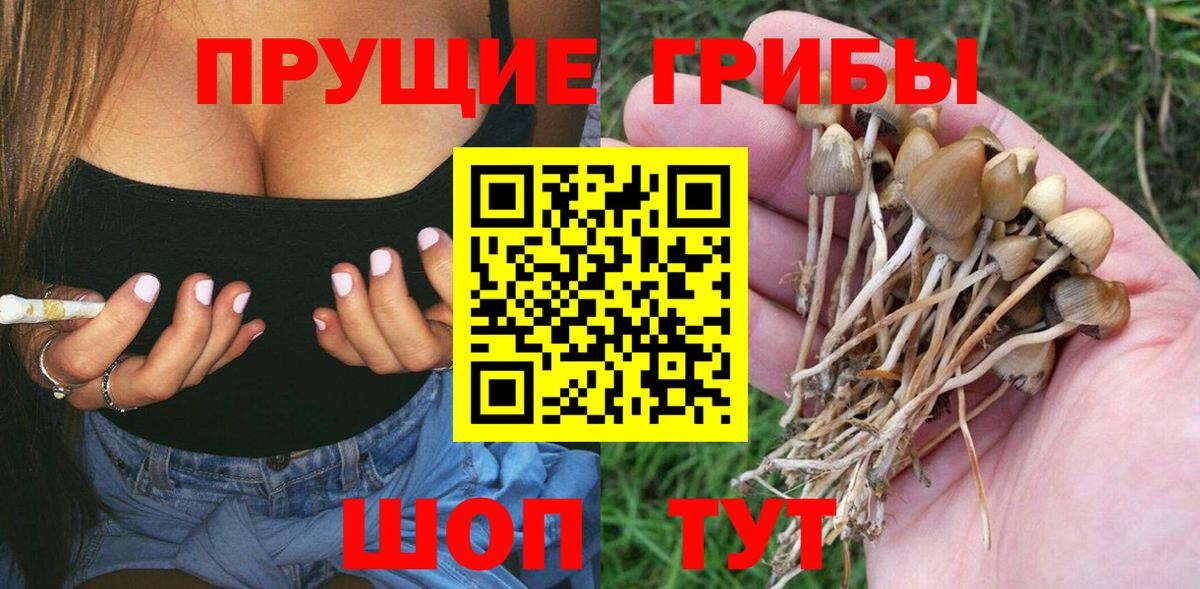 Галлюциногенные грибы мицелий Лениногорск